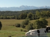 vache