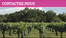 Contactez-nous