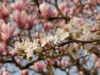 DSCN1285.JPG