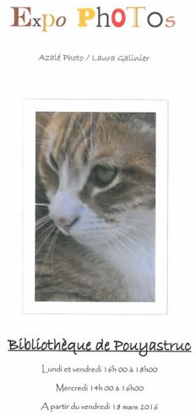 expophoto bis